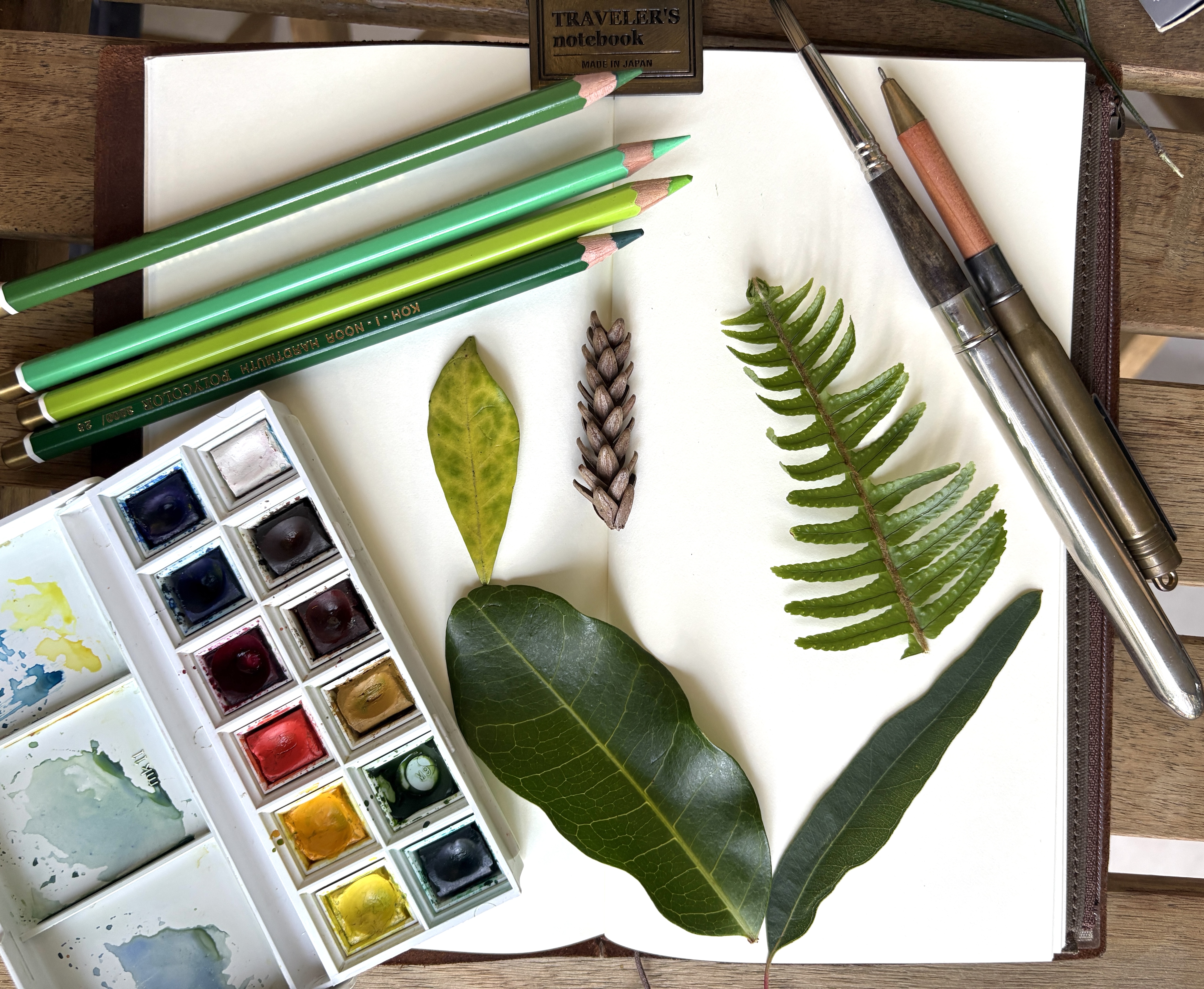 Nature’s Palette: The Many Greens of the Australian Landscape